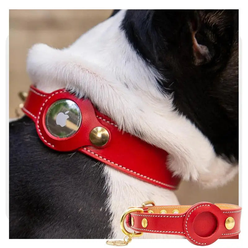 AirTag Schutzhülle - Echtleder Halsband mit AirTag-Etui – für Hund & Katze