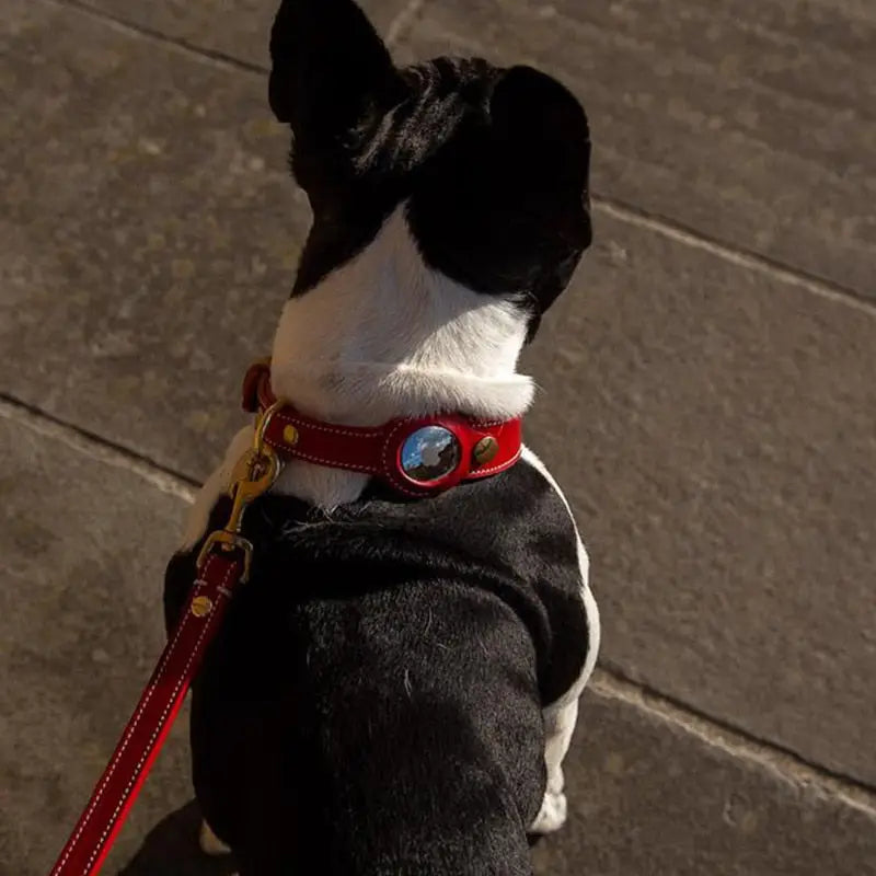 AirTag Schutzhülle - Echtleder Halsband mit AirTag-Etui – für Hund & Katze